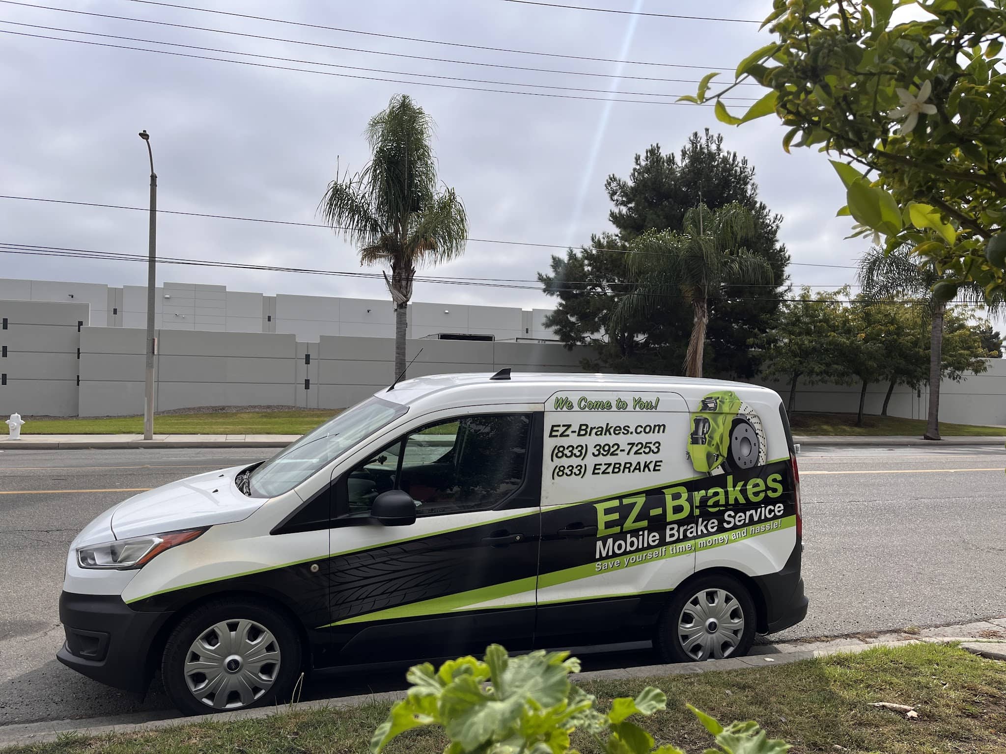 Electric Parking Brake Problem
